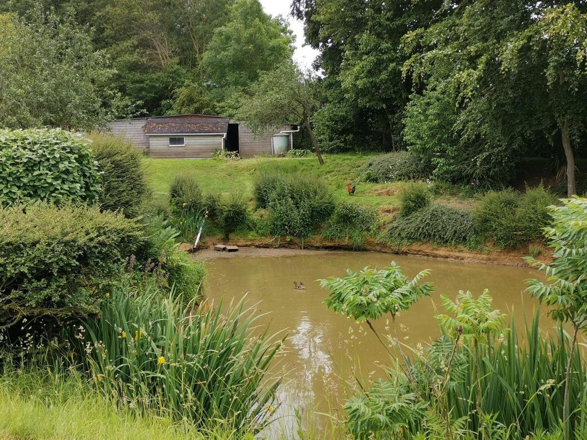 Hotel Le Manege Gite Le Phare Sainte-Marie-au-Bosc Zewnętrze zdjęcie